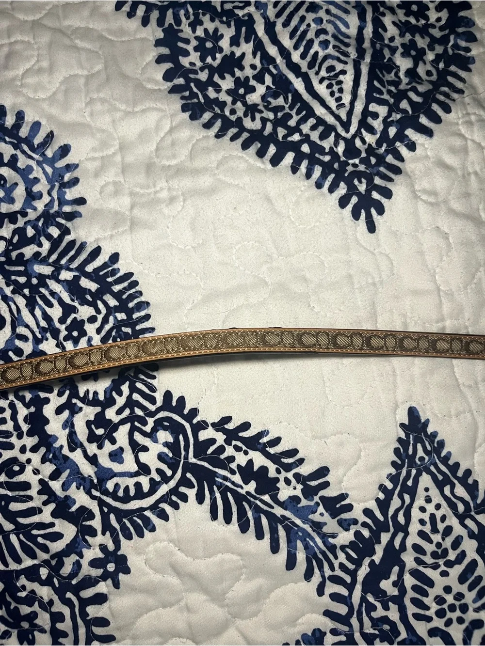 Coach premium leash